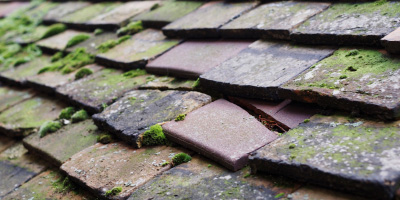 Bynea roof repair costs